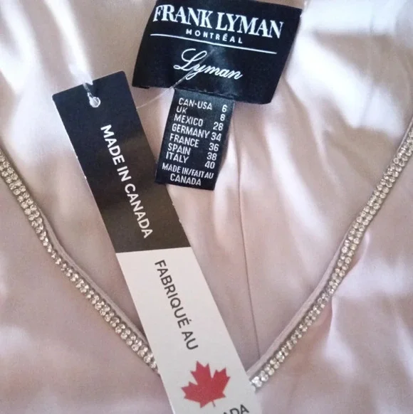 Frank Lyman Montreal Blush Pink Shift Dress Chiffon Overlay Size 6 NWT - Picture 6 of 8